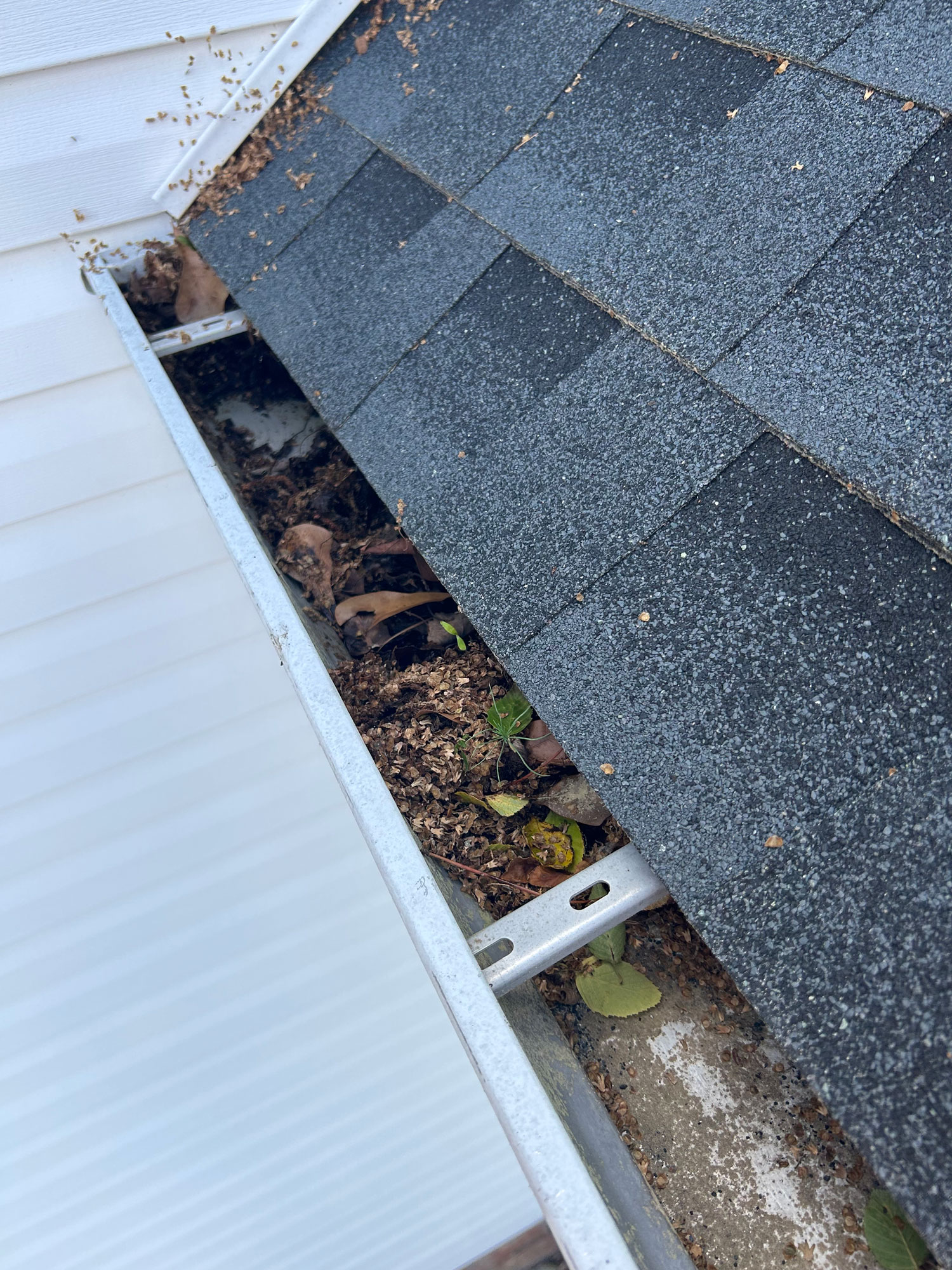 Gutter before cleaning