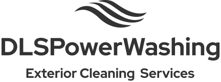 DLSPowerWashing logo